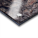 Natural Tree Art Acrylic print