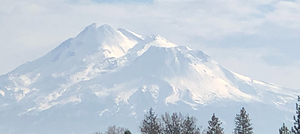 Mount Shasta in Peaceful Light