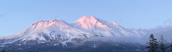 May Alpenglow Mount Shasta Landscape Print