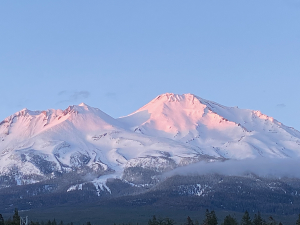 Mount Shasta Pink and Gold Alpenglow Print
