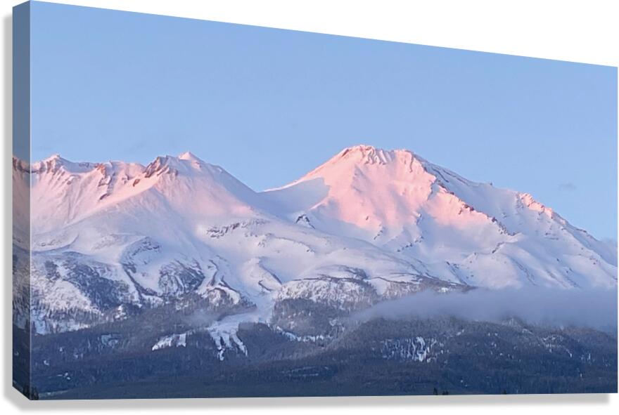 May Mount Shasta Glow Canvas Print