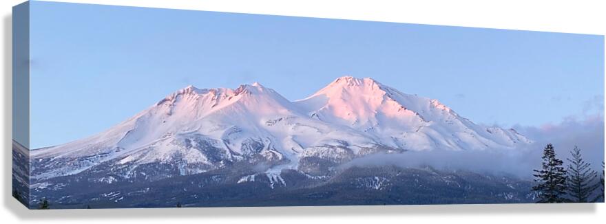 May Alpenglow Mount Shasta Landscape Canvas Print
