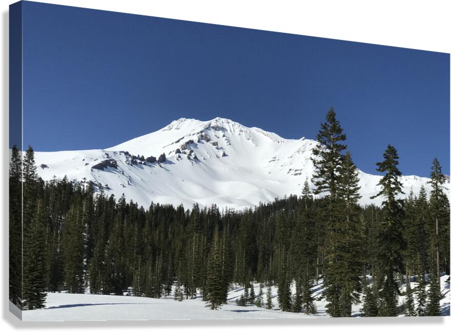 Deep Blue Snow Day Canvas Print