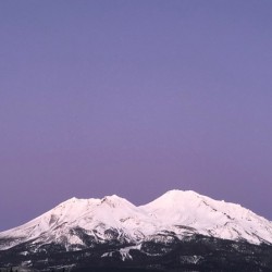 Lavender Sky Forever