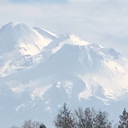 Mount Shasta in Peaceful Light
