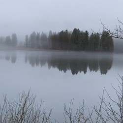 Winter Mist on Lake Siskiyou