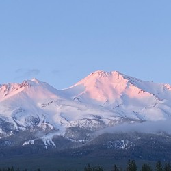 Mount Shasta Pink and Gold Alpenglow