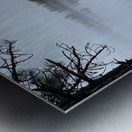 Winter at Lake Siskiyou Metal print