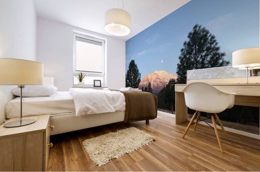 Mount Shasta and Trees Mural print