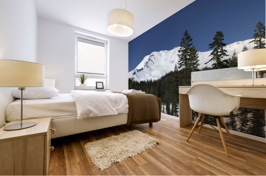 Deep Blue Snow Day Mural print