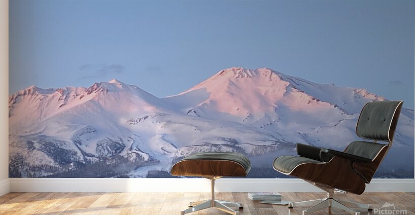 Mount Shasta Pink and Gold Alpenglow Wall Murals