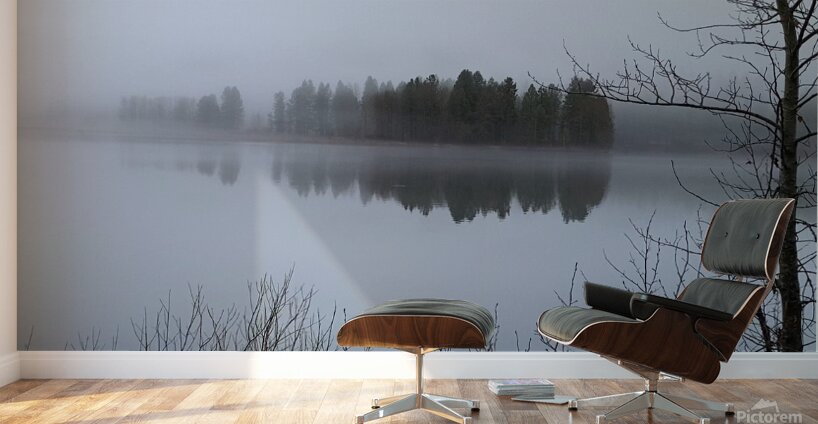 Winter Mist on Lake Siskiyou Wall Murals