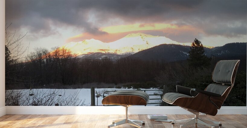 True Gold Alpenglow Wall Murals