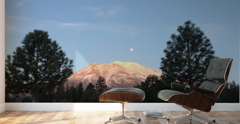 Mount Shasta and Trees Wall Murals