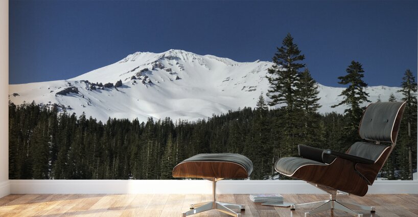 Deep Blue Snow Day Wall Murals