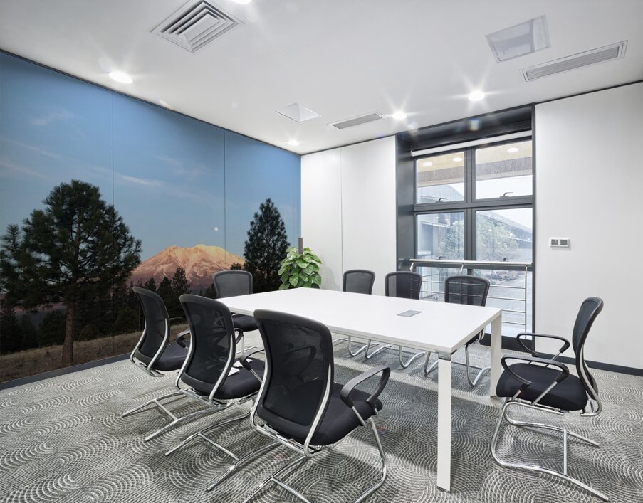 Mount Shasta and Trees Wall Printing