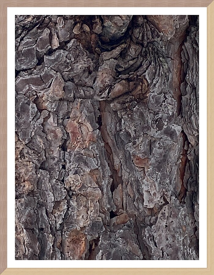 Natural Tree Art Picture Frame print