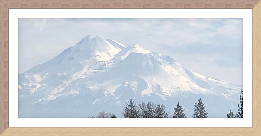 Mount Shasta in Peaceful Light Picture Frame print