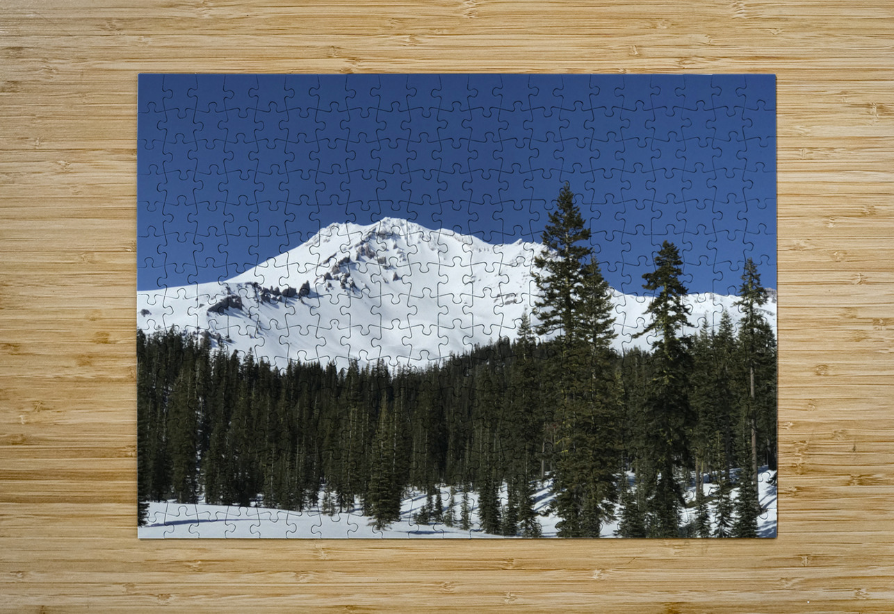 Deep Blue Snow Day Tara Gardner Puzzle printing