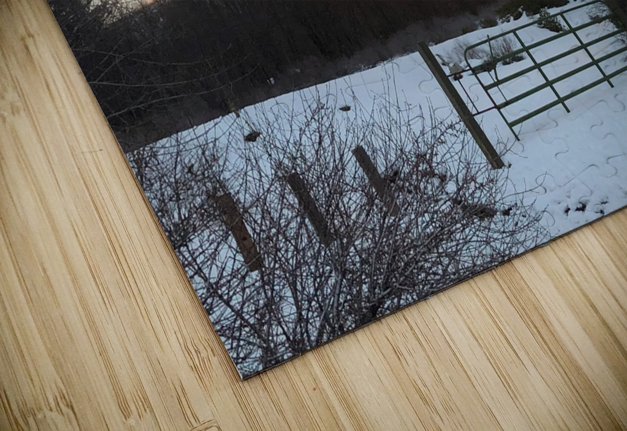 True Gold Alpenglow Tara Gardner Puzzle