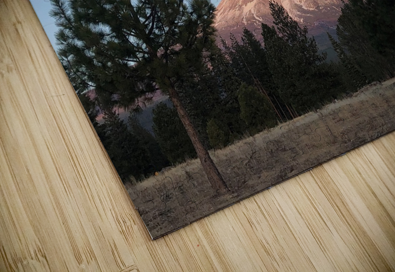 Mount Shasta and Trees Tara Gardner Puzzle
