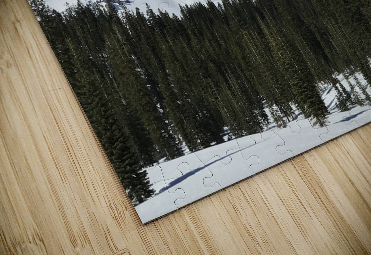 Deep Blue Snow Day Tara Gardner Puzzle