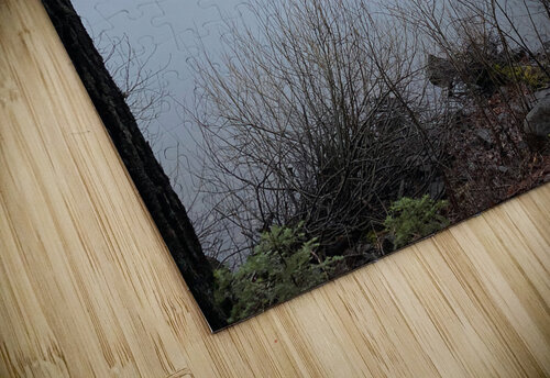 Winter at Lake Siskiyou Tara Gardner puzzle