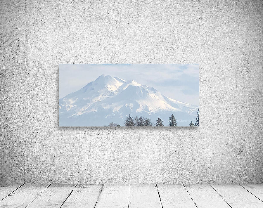Mount Shasta in Peaceful Light Wall Preview