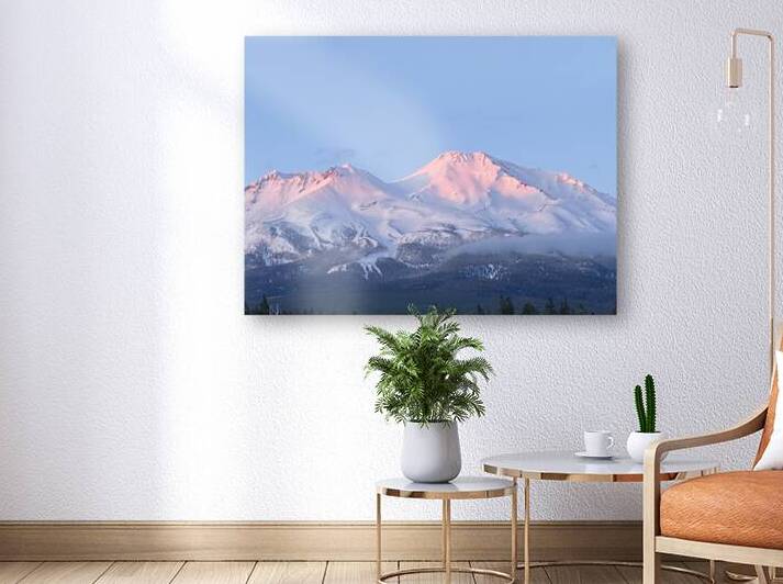 Mount Shasta Pink and Gold Alpenglow by Tara Gardner
