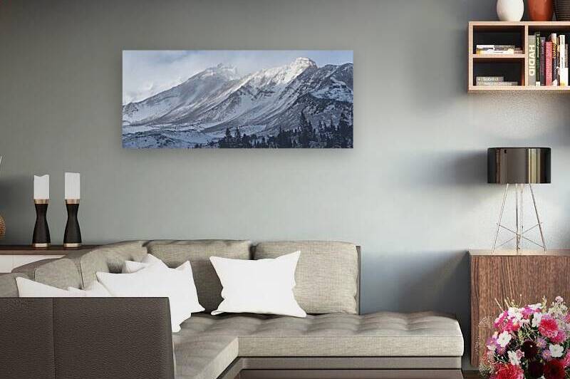 Mount Shasta First Snow by Tara Gardner