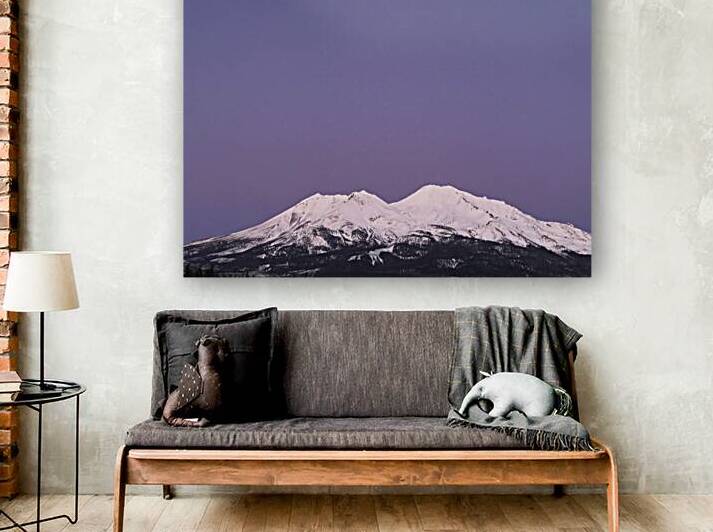 Lavender Sky Forever by Tara Gardner