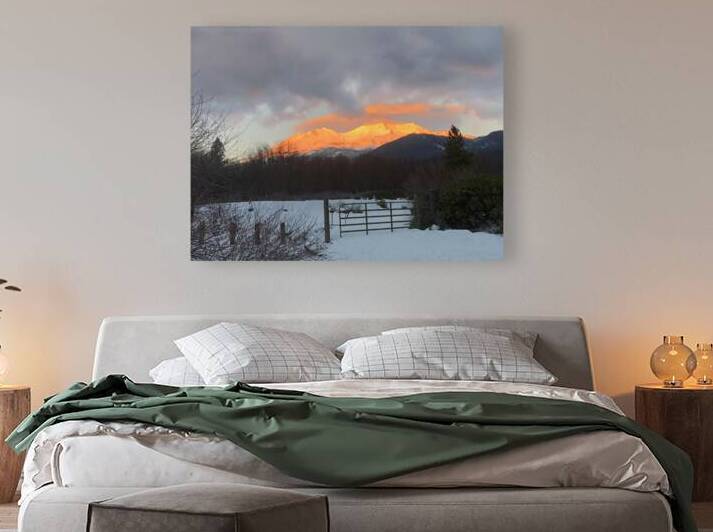 Gold Mountain by Tara Gardner