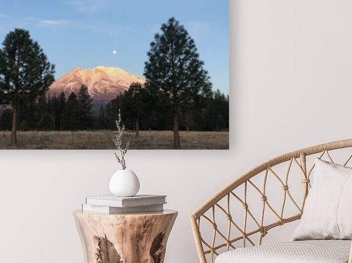 Mount Shasta and Trees by Tara Gardner