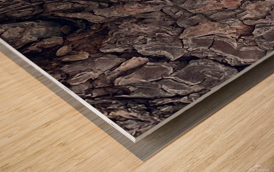 Natural Tree Art Wood print