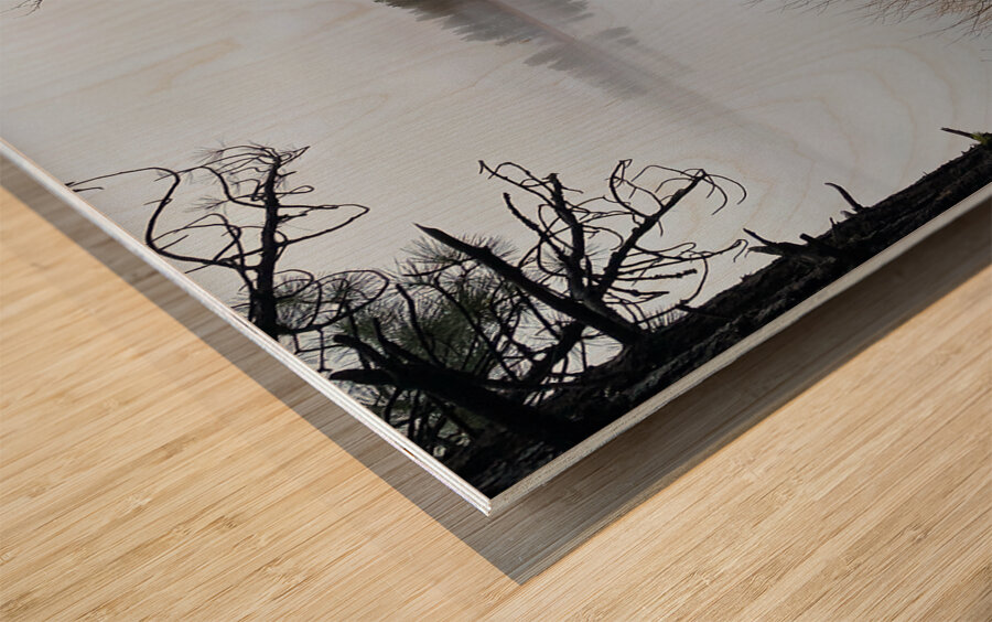 Winter at Lake Siskiyou Wood print