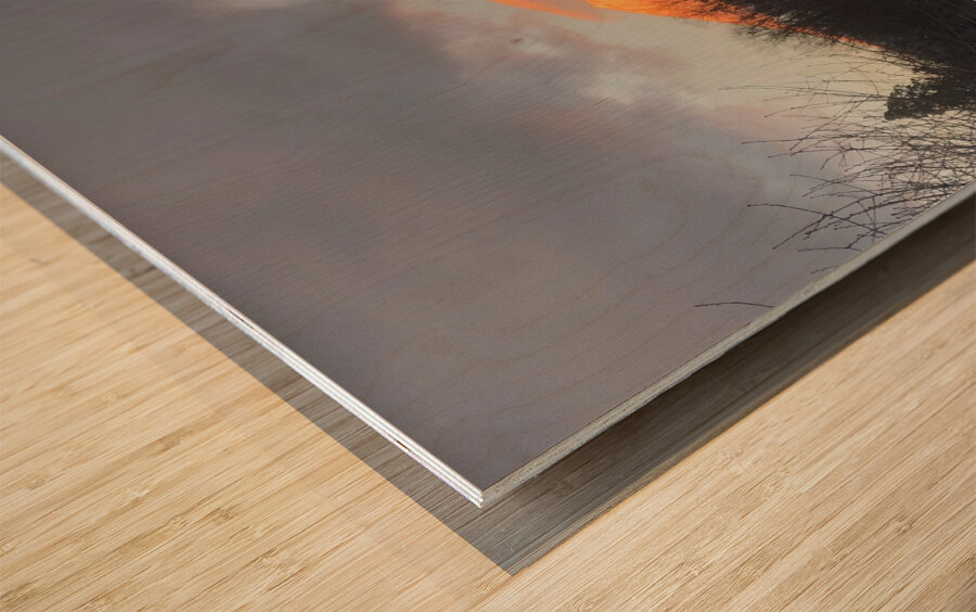 Gold Mountain Wood print