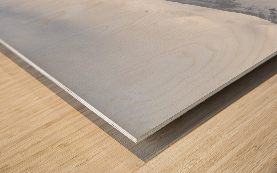 Mount Shasta First Snow Mural Wood print