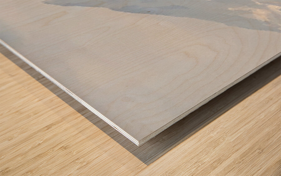 Mount Shasta in Peaceful Light Wood print